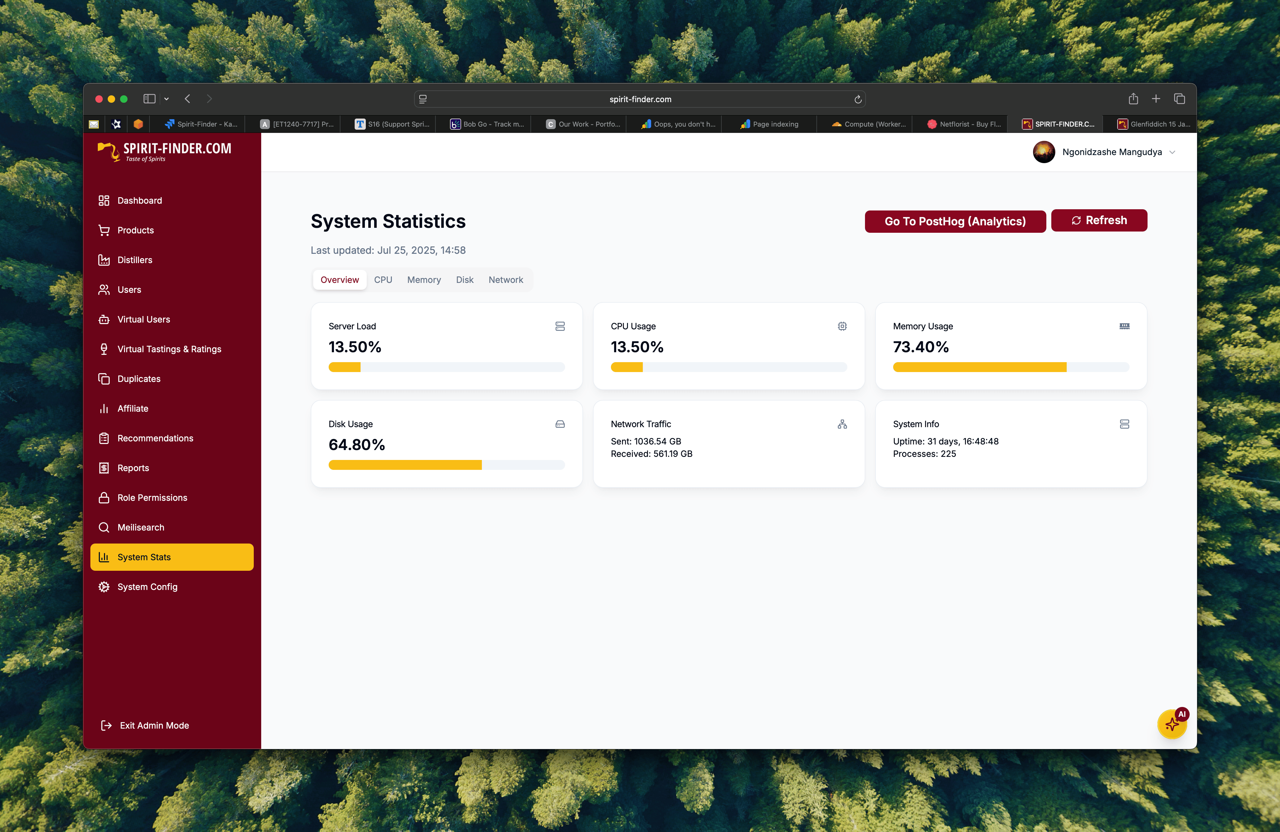 System monitoring and server statistics dashboard